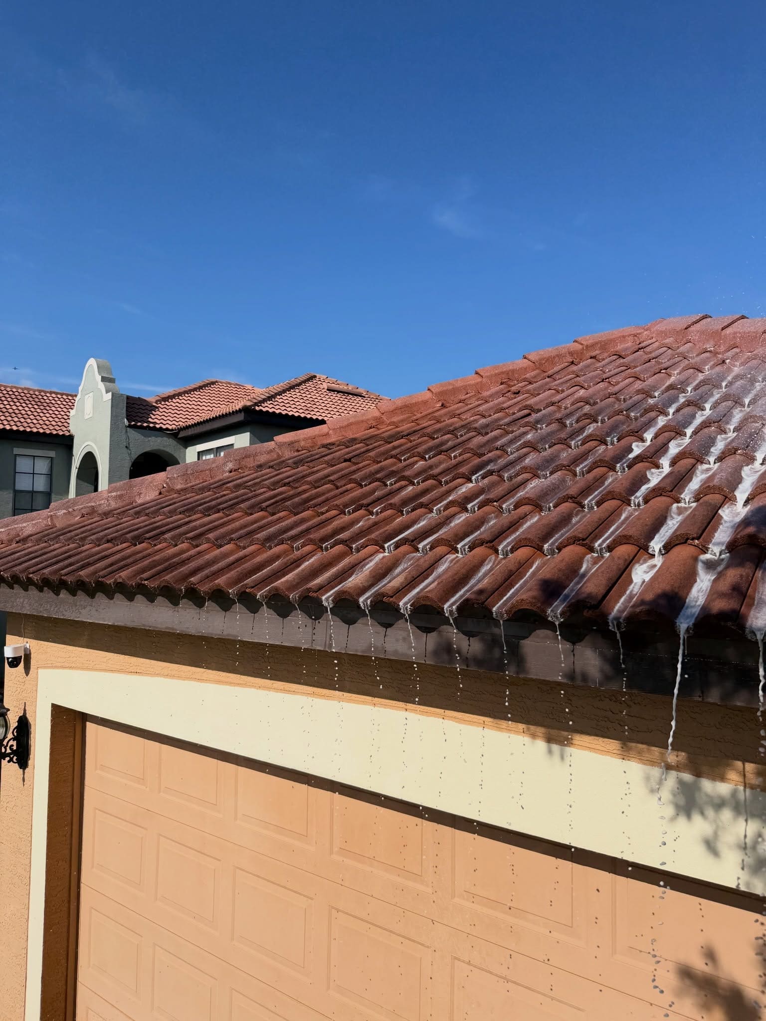 Roof soft wash — clean terracotta tile