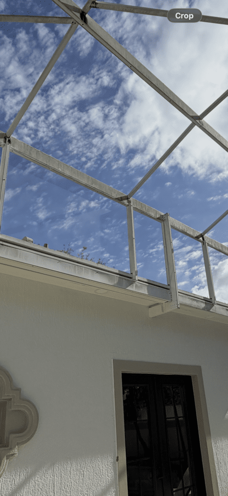 Screen enclosure roof after soft washing in Central Florida